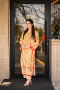 ANYA CO - ORD SETS - Noor - e - Ujala