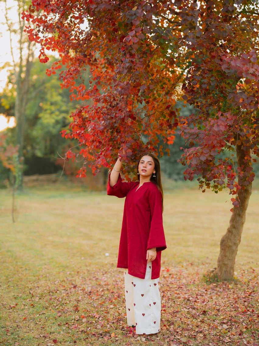 Lovely farshi Shalwar 2 pc